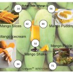 Mango Theme Housie Ticket (24 Tickets)