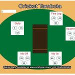 Cricket - 02 Digital Tambola Tickets (20 Tickets, pdf file) Set 1